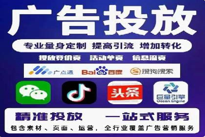 实战经验分享：SEO与SEM优化案例精选